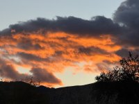 IMG_5221.jpeg