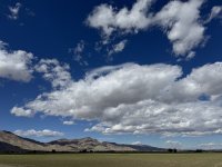IMG_5216.jpeg