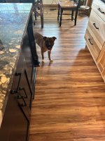 IMG_7683.jpeg