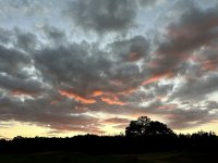 IMG_1067.jpeg