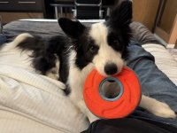 IMG_5238.jpeg