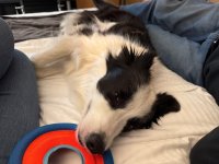 IMG_5246.jpeg