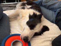 IMG_5244.jpeg