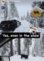 IMG_1935.jpeg