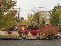 IMG_5283.jpeg
