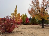 IMG_5285.jpeg