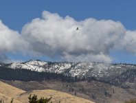 IMG_5299.jpeg