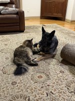 IMG_3849.jpeg