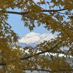 IMG_5306.jpeg