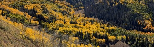 IMG_1074.jpeg