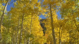 IMG_1075.jpeg