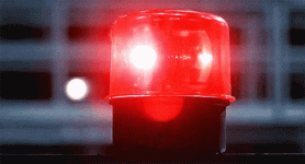 IMG_7297.gif