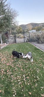 IMG_4960.jpeg