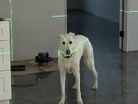IMG_1104.jpeg