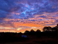 IMG_1101.jpeg