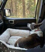 IMG_7154.jpeg
