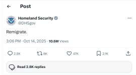 IMG_1339.jpeg