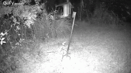 1000043876.gif