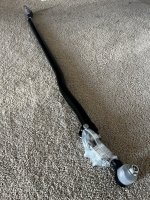 IMG_3795.jpeg