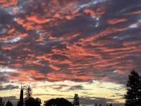 IMG_3319.jpeg