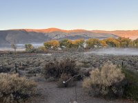 IMG_4998.jpeg