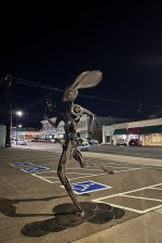 IMG_1424.jpeg