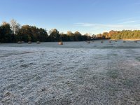 IMG_1147.jpeg