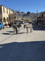 IMG_4616.jpeg