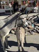 IMG_4641.jpeg