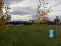 IMG_0470.jpeg