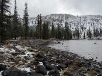 IMG_7520.jpeg