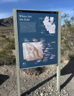 IMG_1481.jpeg