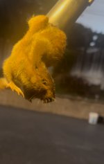 IMG_2453.jpeg