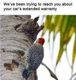 1761529743415.png
