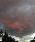 IMG_2412.jpeg