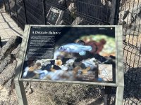 IMG_1482.jpeg