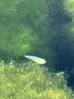 IMG_4676.jpeg