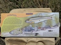 IMG_4683.jpeg