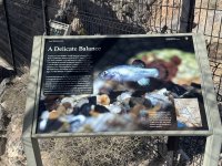 IMG_4689.jpeg