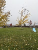 IMG_0494.jpeg