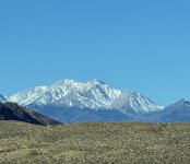 IMG_4721.jpeg