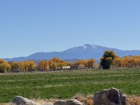 IMG_4731.jpeg