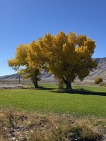 IMG_4733.jpeg