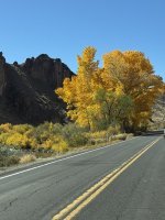 IMG_4741.jpeg
