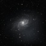 IMG_1349.jpeg