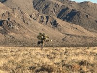 IMG_1729.jpeg IMG_1729.jpeg