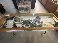 IMG_1786.jpeg IMG_1786.jpeg