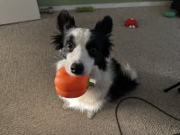 IMG_5482.jpeg IMG_5482.jpeg