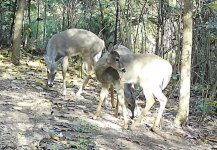 1000044758.jpg 1000044758.jpg