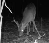 1000044760.jpg 1000044760.jpg